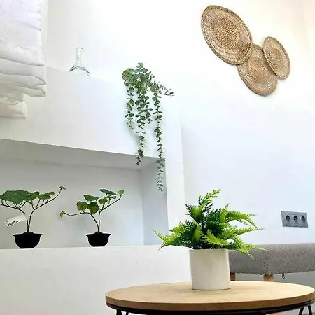 Nuevo Centro Historico De Apartament *